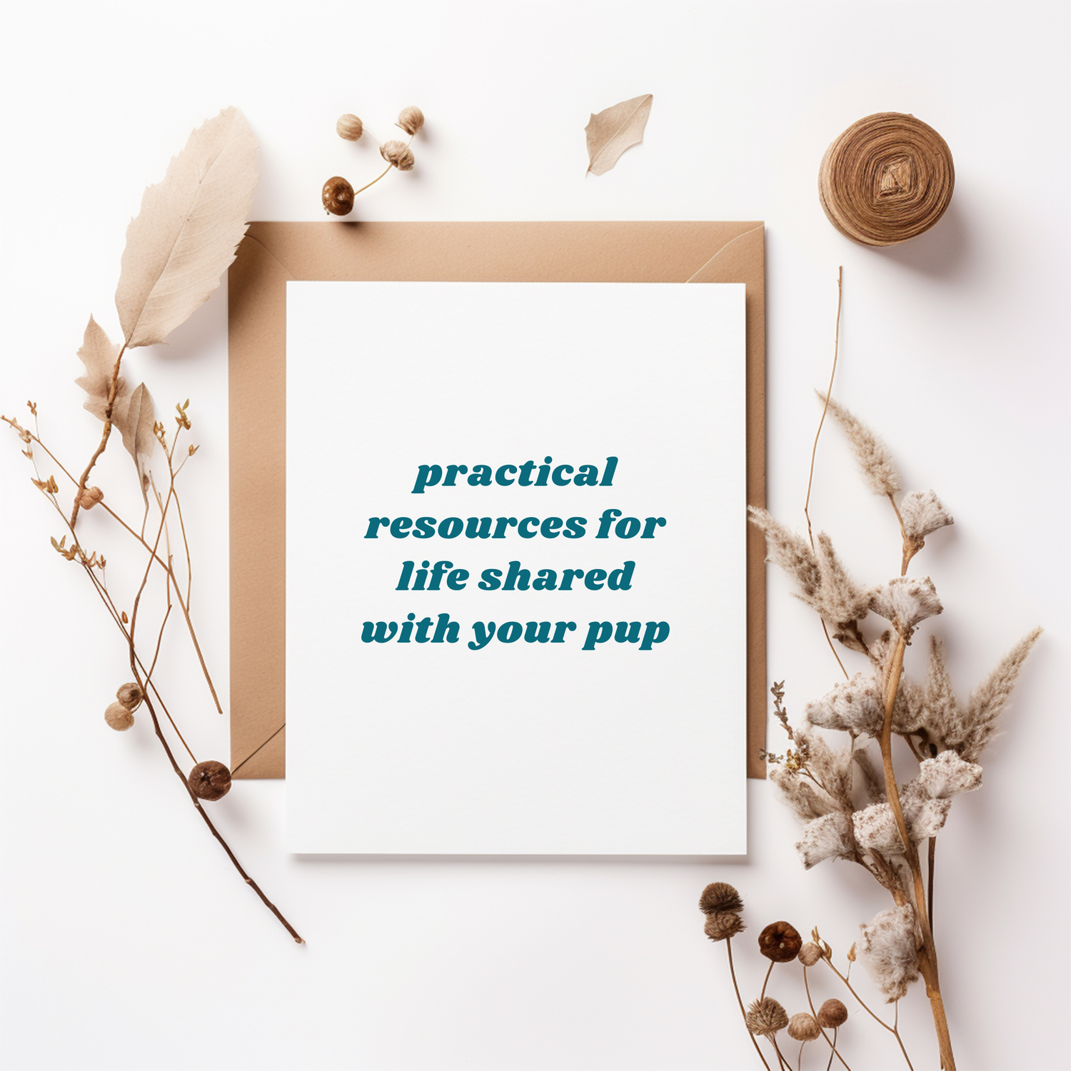 Matte white card stock reading “practical resources for life shared with your pup” surrounded by natural stationery and dried flowers.