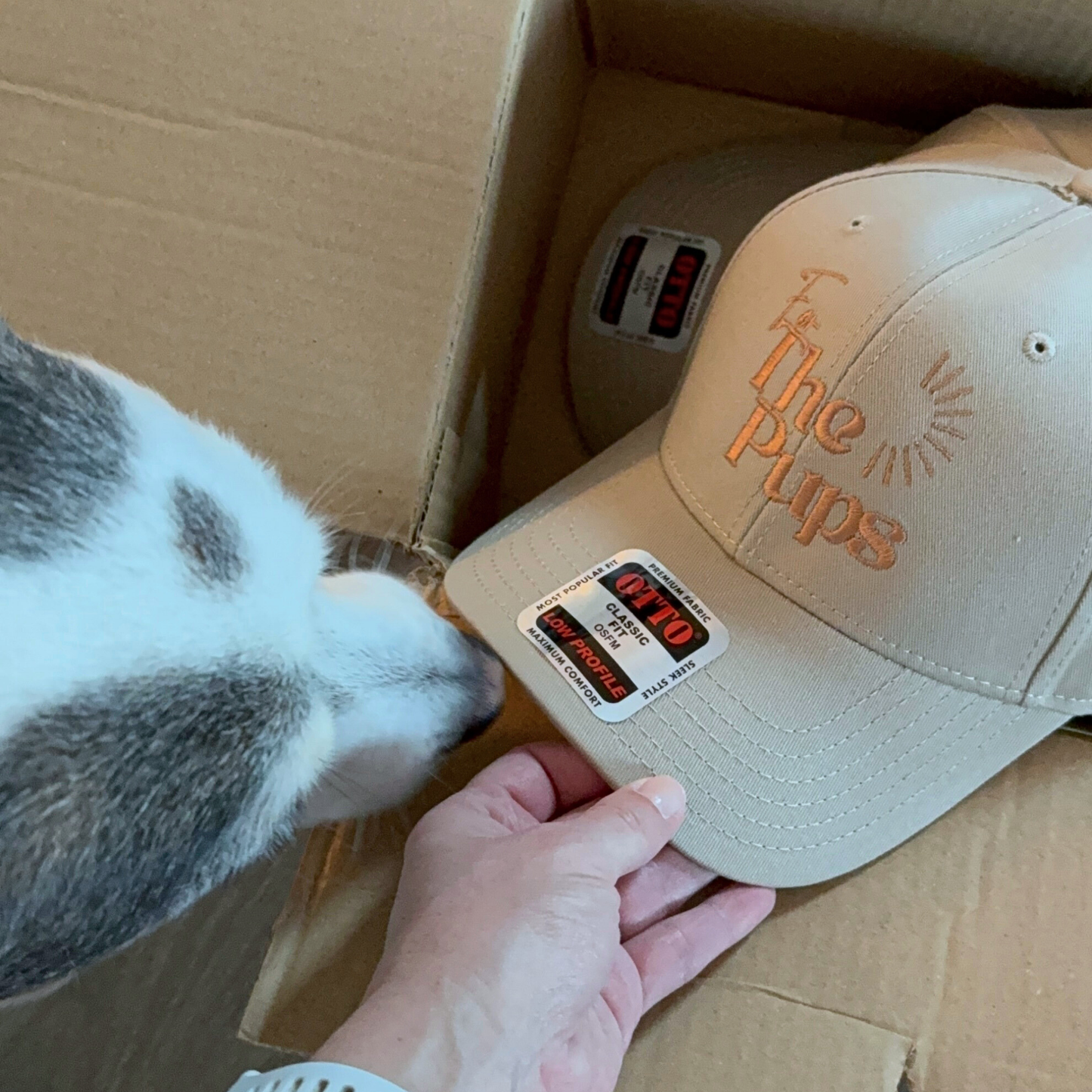 For The Pups Baseball Cap – Tan